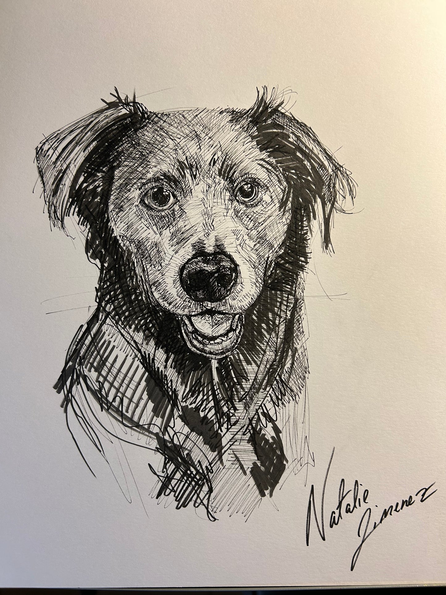 Custom Pet portrait