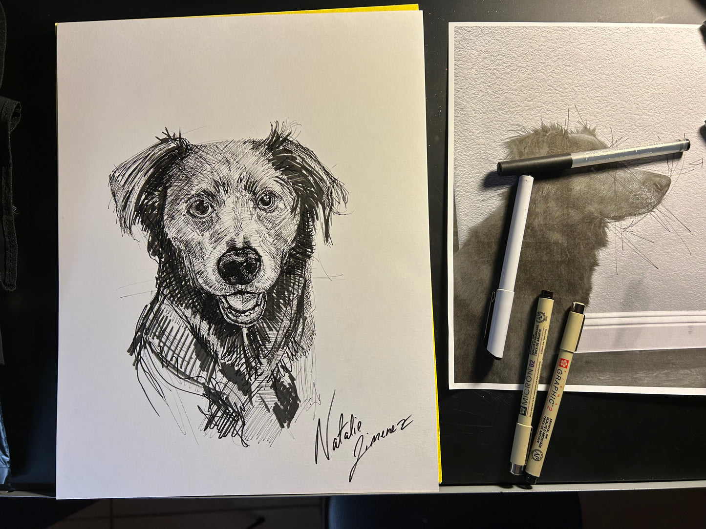 Custom Pet portrait