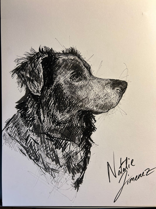 Custom Pet portrait